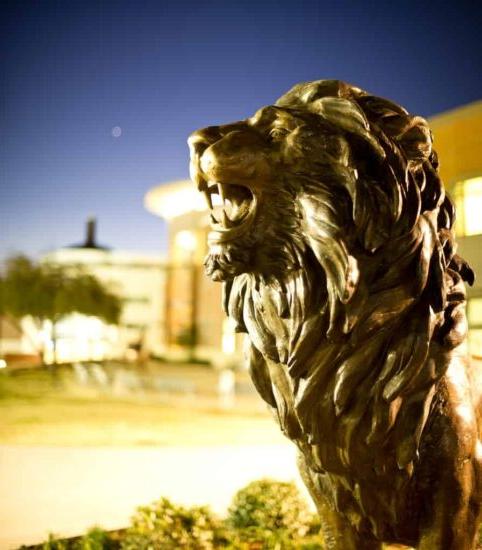 校园狮子雕像.